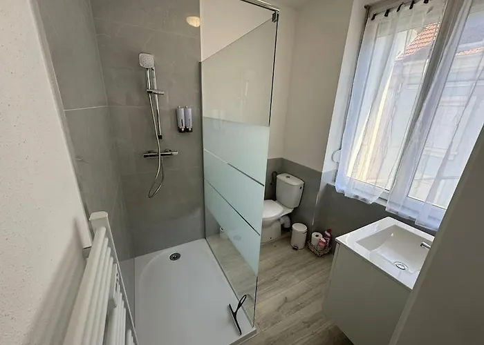 Champêtre Centre Ville, Stationnement Gratuit Et Proche Tram * Mulhouse